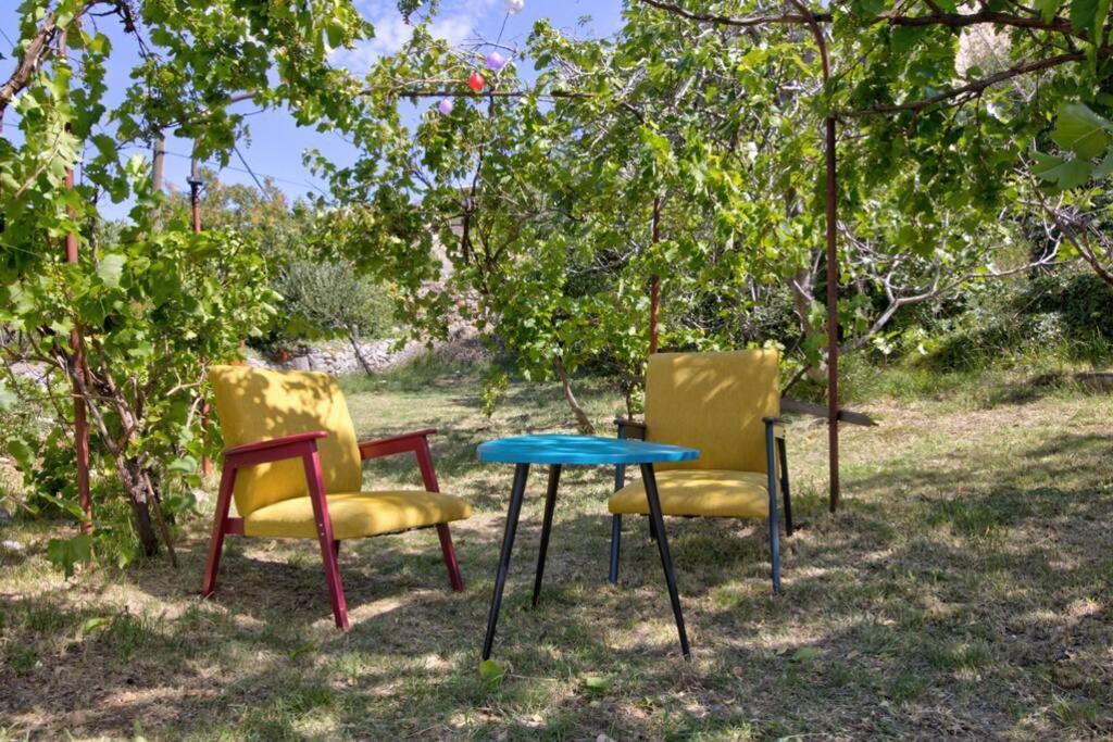 Vacation Home Korina Senj  Dış mekan fotoğraf